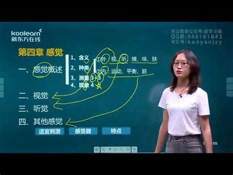 初級錯誤信念|基礎 心智理論